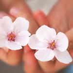 満開の桜をバックに♡お花見におすすめのファッションコーデ3選