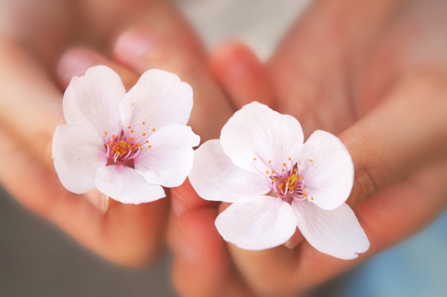 満開の桜をバックに♡お花見におすすめのファッションコーデ3選