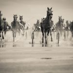ドキドキ新鮮!カップルで競馬デートを楽しもう♡