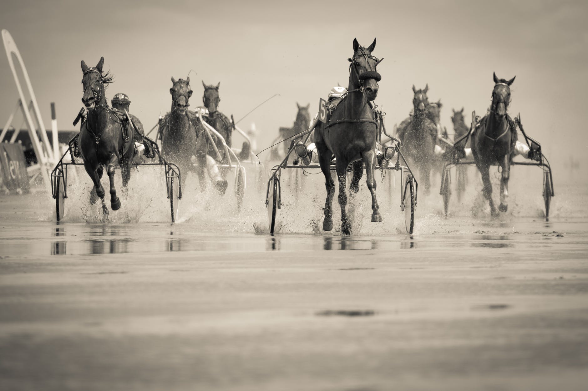 ドキドキ新鮮！カップルで競馬デートを楽しもう♡