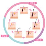 脱毛とは